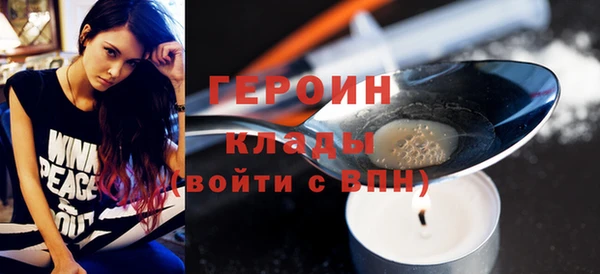 шишки Инта