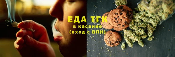 шишки Инта