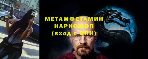 шишки Инта