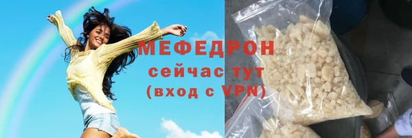шишки Инта