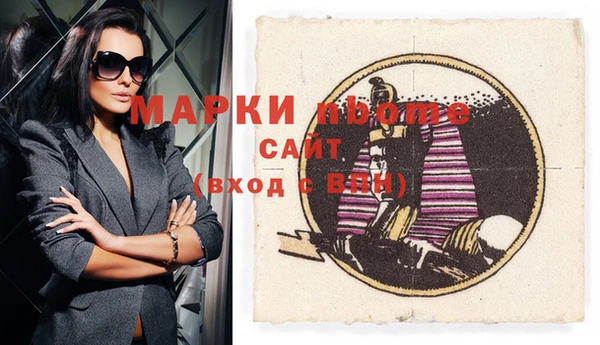 шишки Инта