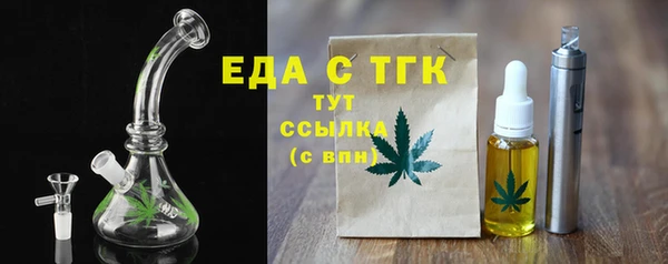 шишки Инта