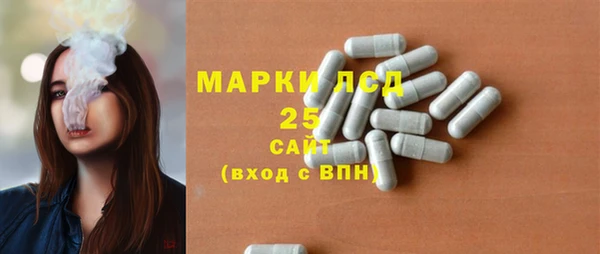 прущие грибы Каменка
