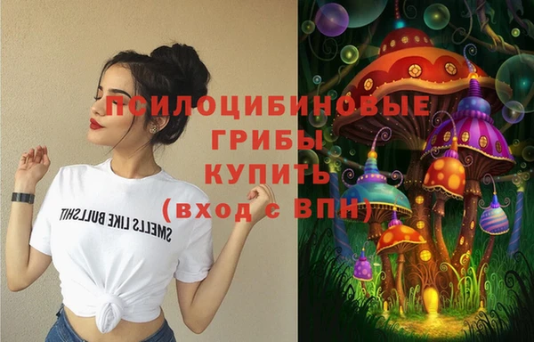 шишки Инта