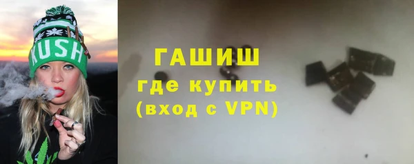 шишки Инта