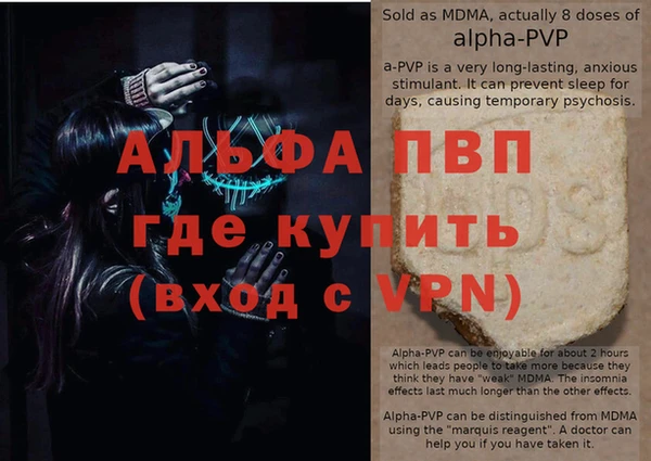 шишки Инта