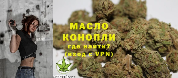 шишки Инта
