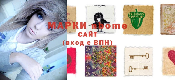 шишки Инта