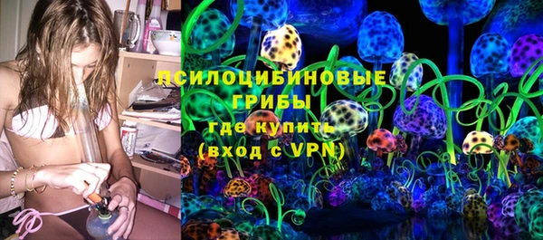 шишки Инта