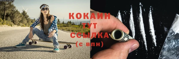 шишки Инта