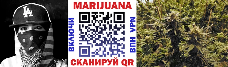 Марихуана тримм  Купить закладки  Вытегра 